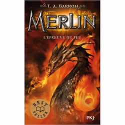 ISBN 9782266274531, Français, 384 pages