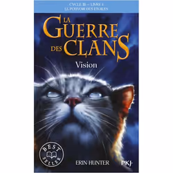 ISBN 9782266277310, Français, 400 pages
