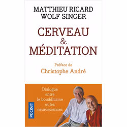 ISBN 9782266279048, Français, 456 pages