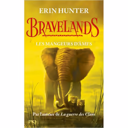 ISBN 9782266280488, Français, Livre broché, 352 pages