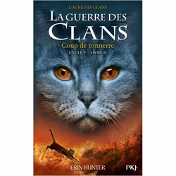 ISBN 9782266282611, Français, Livre broché, 352 pages