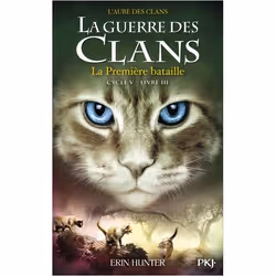 ISBN 9782266282628, Français, Livre broché, 384 pages