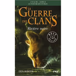 ISBN 9782266282635, Français, 368 pages
