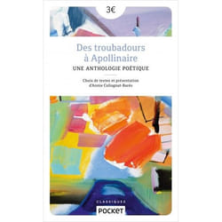 Des troubadours à Apollinaire (Grand format)
