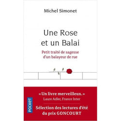 Une Rose et un Balai (Grand format)