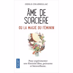 ISBN 9782266290777, Français, 288 pages