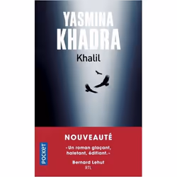 ISBN 9782266291668, Français, 240 pages
