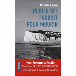 ISBN 9782266291958, Français, 704 pages