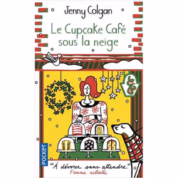 ISBN 9782266292603, Français, 384 pages