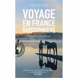 ISBN 9782266292931, Français, 216 pages