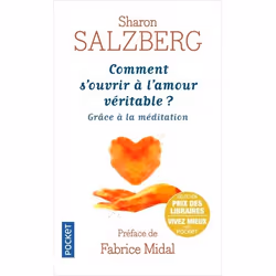 ISBN 9782266293341, Français, 456 pages