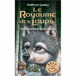 ISBN 9782266293907, Français, 240 pages