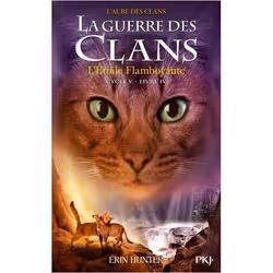ISBN 9782266294232, Français, Livre broché, 336 pages
