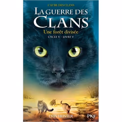 ISBN 9782266294249, Français, Livre broché, 400 pages