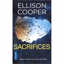 ISBN 9782266295253, Français, 504 pages