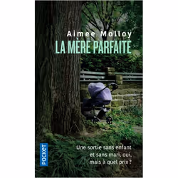ISBN 9782266295888, Français, 448 pages