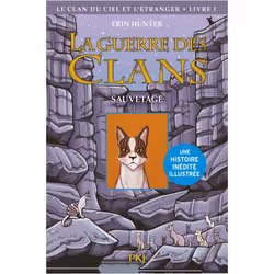 ISBN 9782266296762, Français, 96 pages