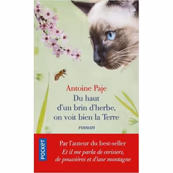 ISBN 9782266310093, Français, 216 pages