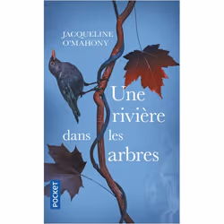 ISBN 9782266311922, Français, 368 pages