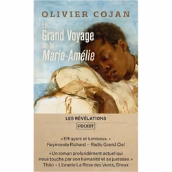ISBN 9782266312691, Français, 400 pages
