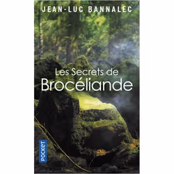 ISBN 9782266313612, Français, 384 pages