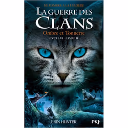 ISBN 9782266314381, Français, Livre broché, 448 pages