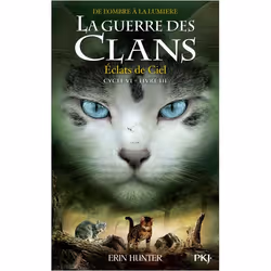 ISBN 9782266314688, Français, Livre broché, 336 pages