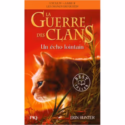 ISBN 9782266314732, Français, 384 pages