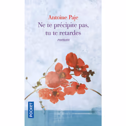 ISBN Ne te précipite pas, tu te retardes : Le livre de Antoine Paje, Roman, 166 pages