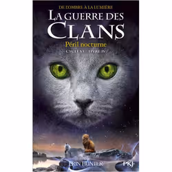 ISBN 9782266321495, Français, Livre broché, 384 pages