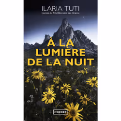 ISBN A la lumière de la nuit : Le livre de Ilaria Tuti, Roman, 256 pages