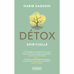 ISBN Détox spirituelle : Le livre de Habib Sadeghi, Santé, esprit et corps, 410 pages