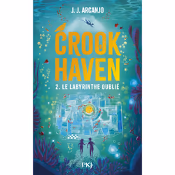 ISBN Crookhaven - Tome 2 Le labyrinthe oublié : Le livre de J.J. Arcanjo, Roman, 384 pages