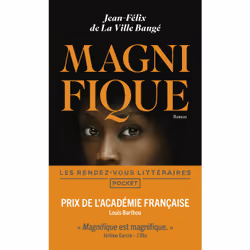 ISBN Magnifique : Le livre de Jean-Félix de La Ville Baugé, Roman, 176 pages