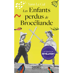 ISBN Les Enfants perdus de Brocéliande : Le livre de Yann Le Gal