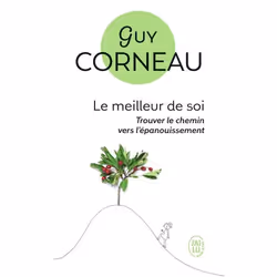 ISBN Le meilleur de soi, Guy Corneau, Santé, esprit et corps, Français, 384 pages