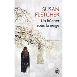 Un bucher sous la neige