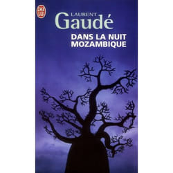 Dans la nuit mozambique