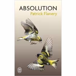 Flammarion ABSOLUTION, Français, Livre broché, 507 pages