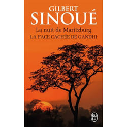 Flammarion LA NUIT DE MARITZBURG livre Français Livre broché