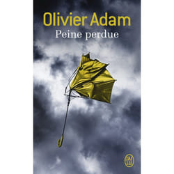 Flammarion PEINE PERDUE