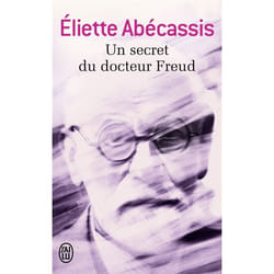 Flammarion UN SECRET DU DOCTEUR FREUD