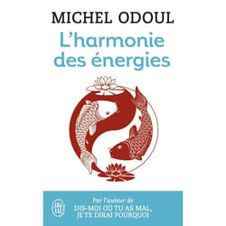 L'harmonie des énergies - Guide de la Pratique taoïste et les fondements du Shiatsu (Poche)