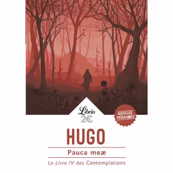 Flammarion Pauca meæ, poésie, Français, Livre broché, 96 pages