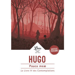 Flammarion Pauca meæ livre poésie Français