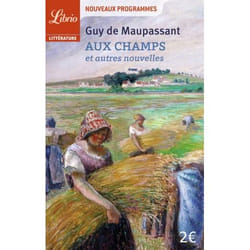 Flammarion Aux champs et autres nouvelles livre Littérature Français
