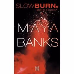 ISBN Enfin réunis, Maya Banks, Fantaisie, Anglais, 316 pages