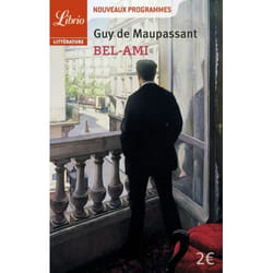 Flammarion Bel-Ami livre Littérature Français