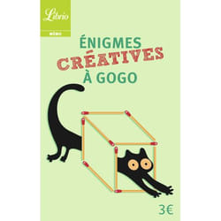 Énigmes créatives à gogo (Broché)