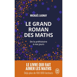 Le grand roman des maths - De la préhistoire à nos jours (Poche)